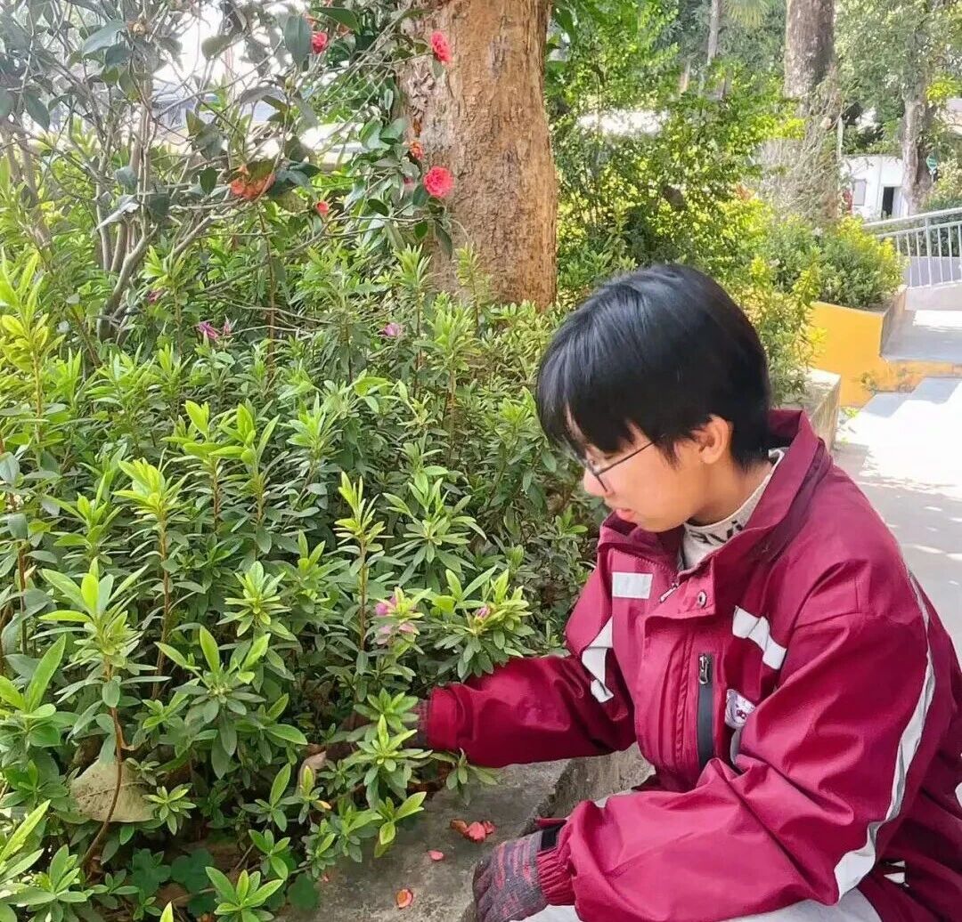 【超德德育】植此青绿 绘美春光!超德学子这样“打开”春天
